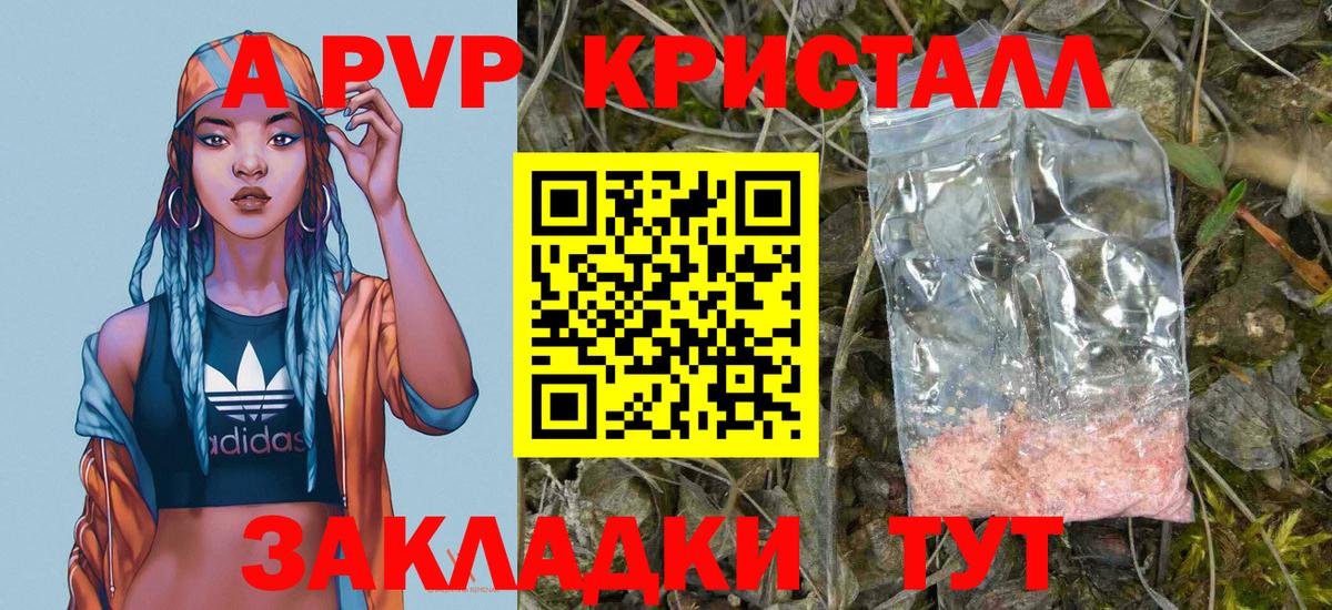 A PVP СК Майкоп