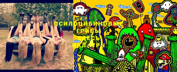 метадон Аркадак