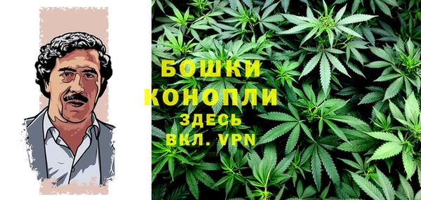 сатива Богородск