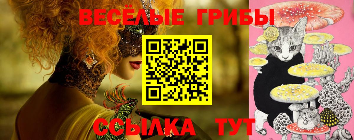 Псилоцибиновые грибы Cubensis Майкоп